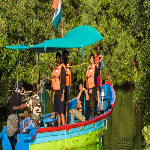 MANGROVE FOREST